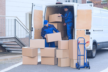 We Asked Local Moving Companies for Their Best Moving Stories